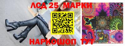 гидропоника Гусев