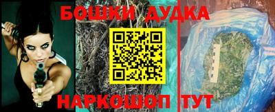 гидропоника Гусев