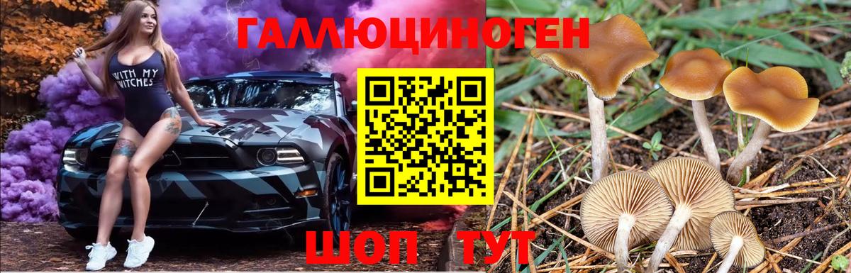 Галлюциногенные грибы ЛСД Кунгур